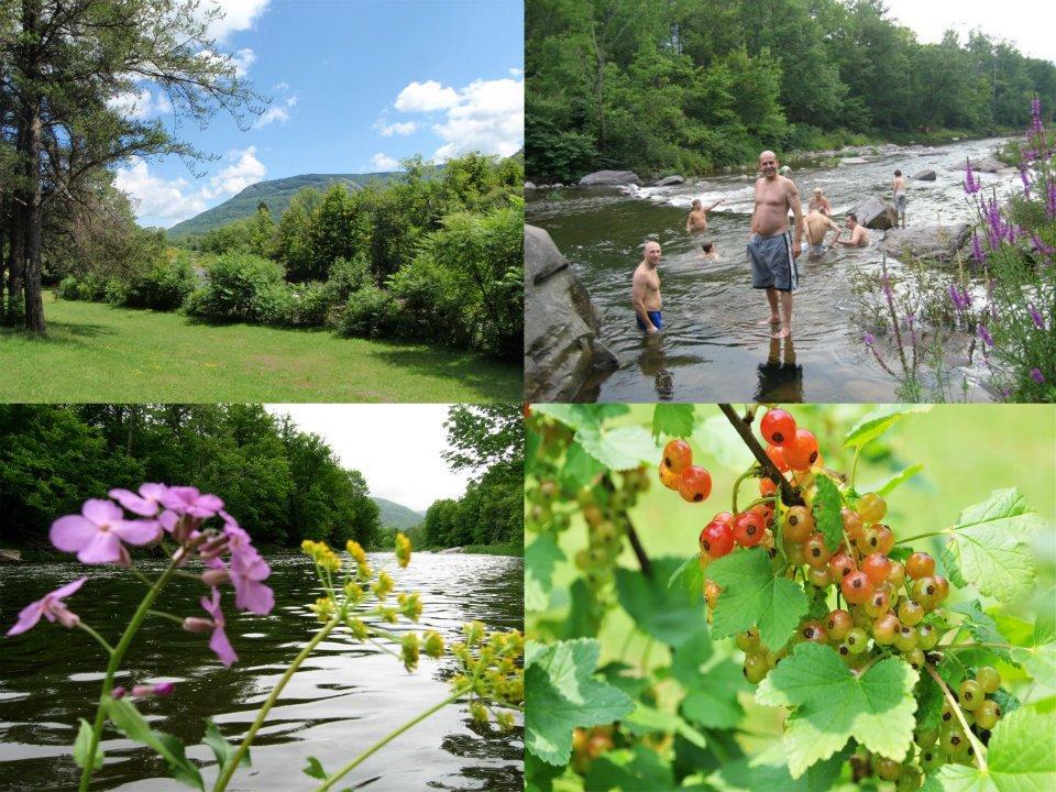 Hunter View Lodging Екстер'єр фото