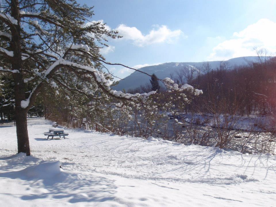 Hunter View Lodging Екстер'єр фото