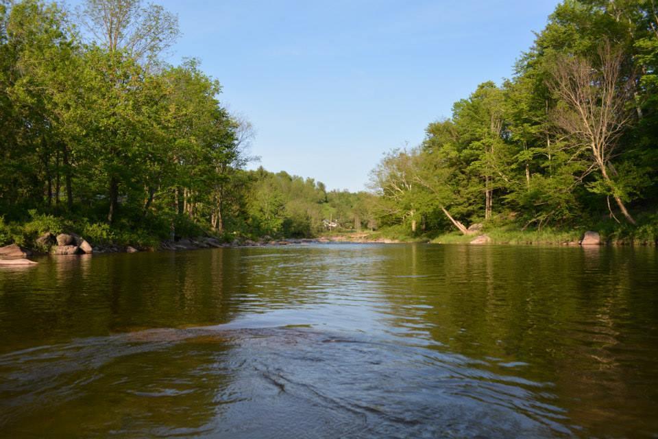 Hunter View Lodging Екстер'єр фото
